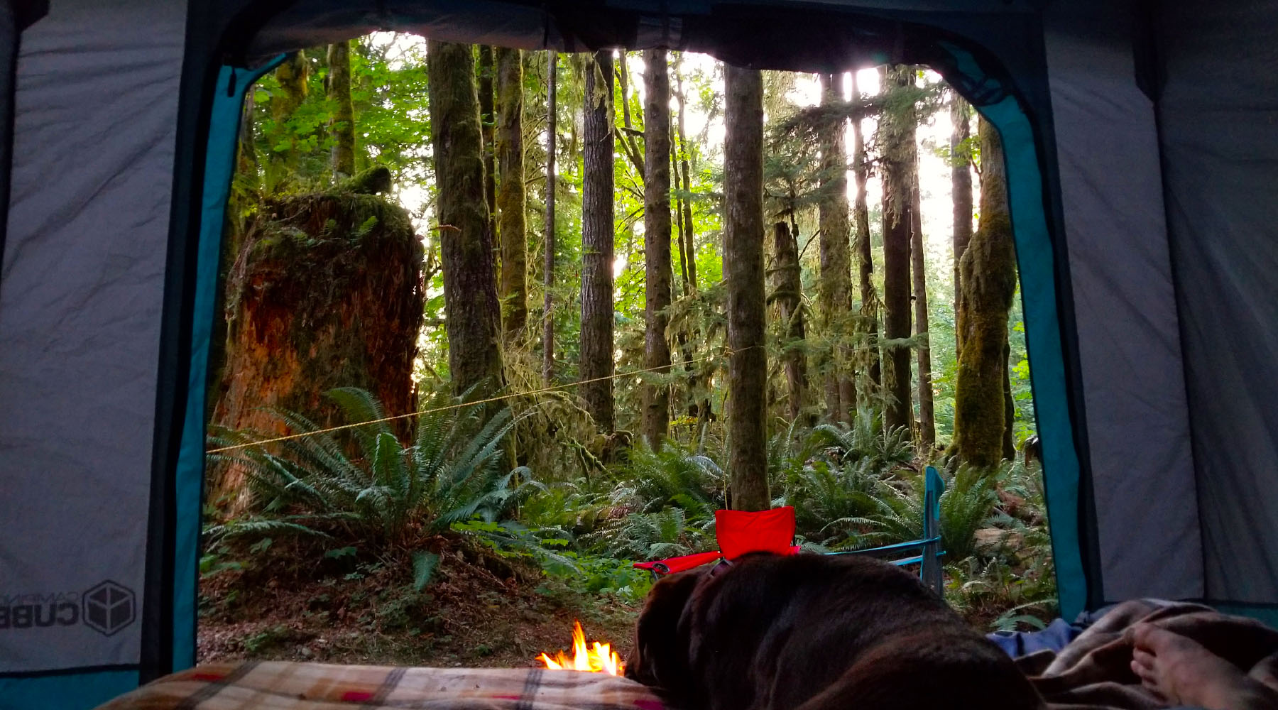 Exploring the Great Outdoors with Your Pooch: The E-Z UP® Camping Cube™ Experience