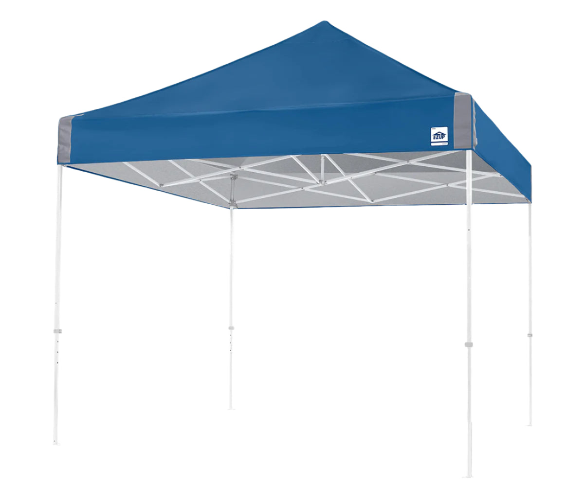 Vantage® 10' x 10' Canopy
