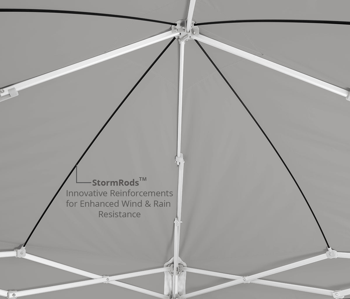 Custom Endeavor® MAX 10' x 10' Canopy