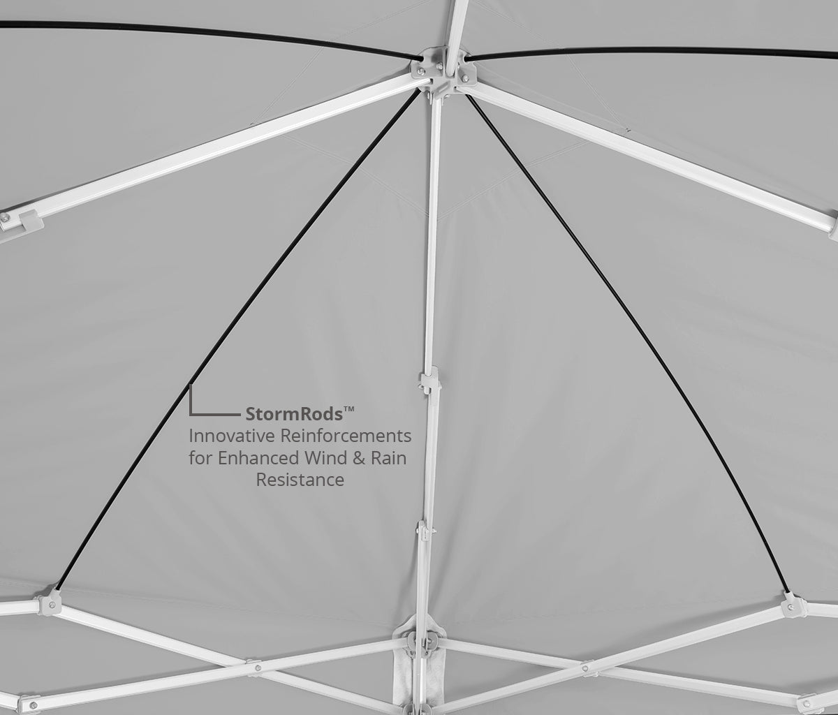 Endeavor™ MAX 10' x 10' Canopy