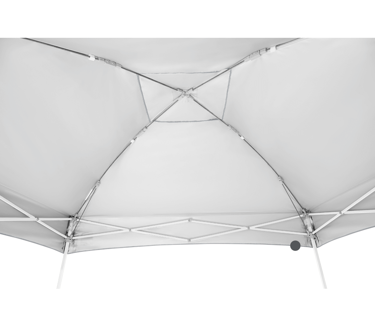 Dome® 10' x 10' Canopy