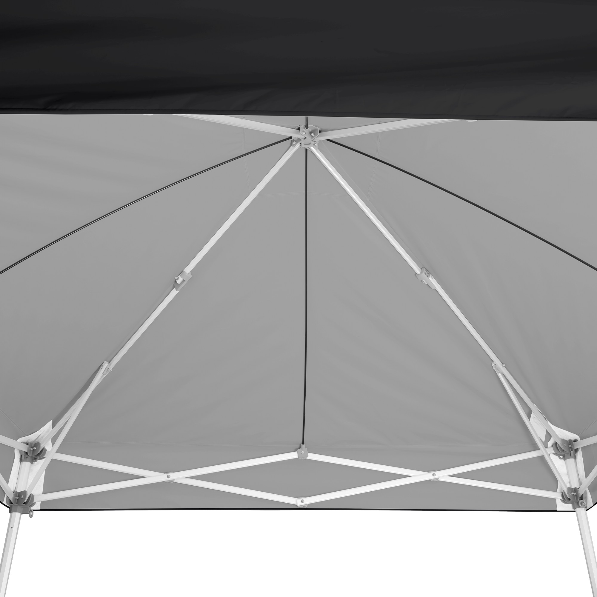 Custom Endeavor™ MAX 10' x 10' Canopy