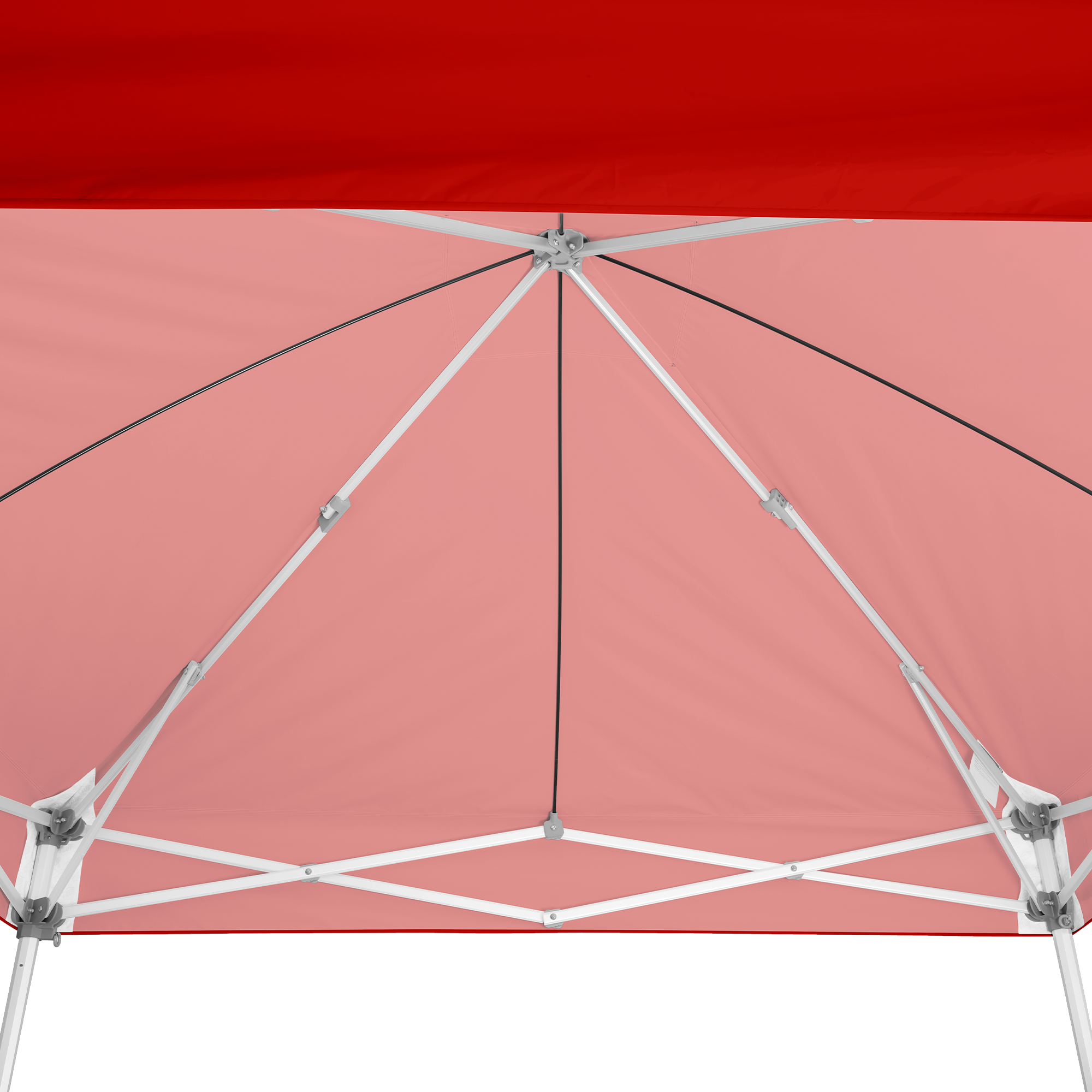 Custom Endeavor™ MAX 10' x 10' Canopy