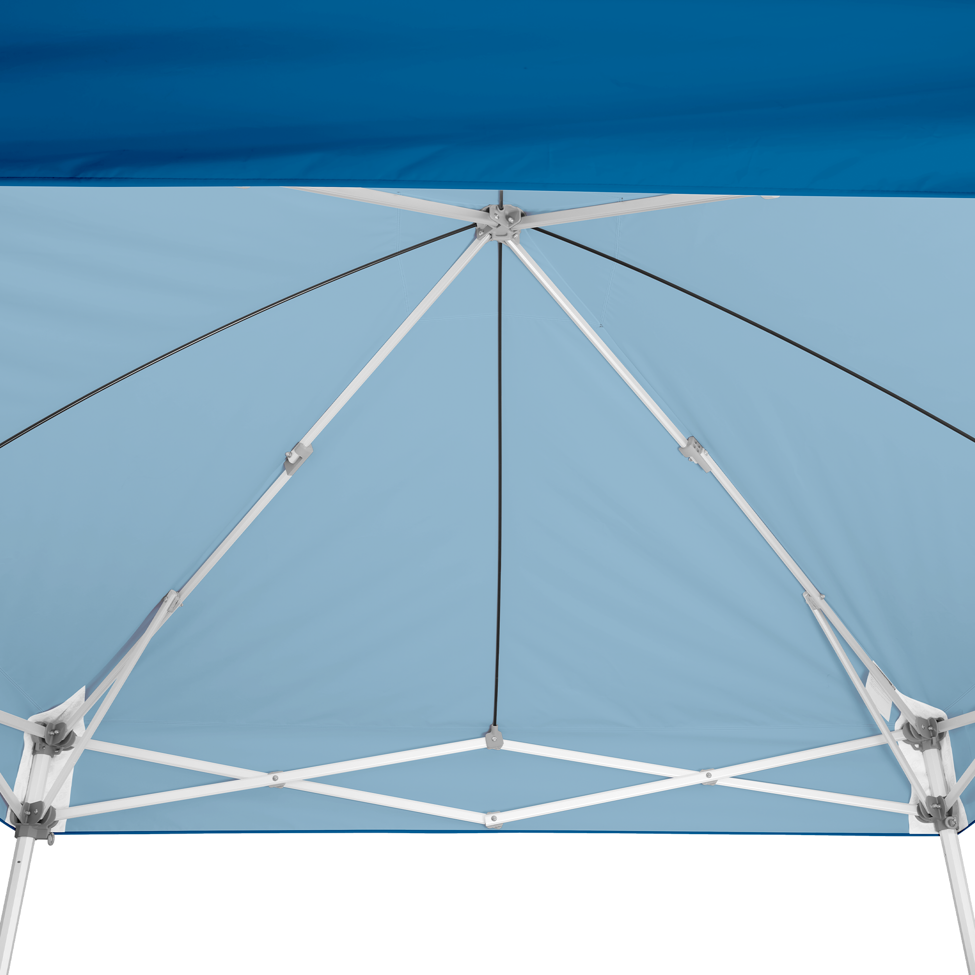 Custom Endeavor™ MAX 10' x 10' Canopy