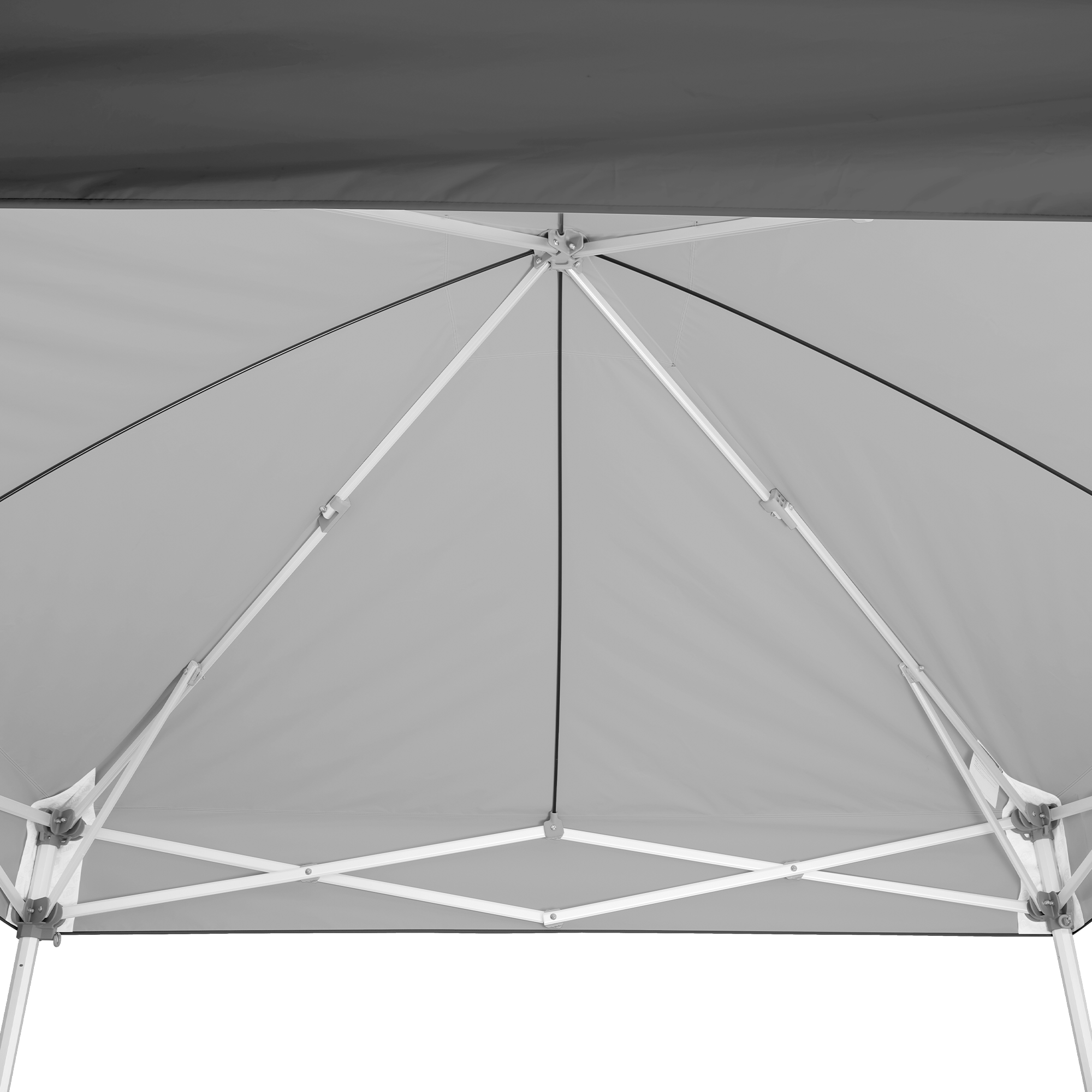Custom Endeavor™ MAX 10' x 10' Canopy